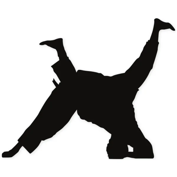 judo · martial arts · fight