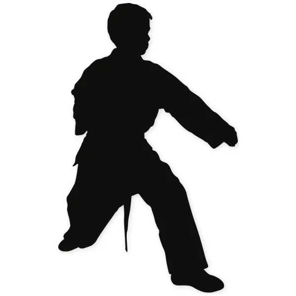 karate · martial arts · fight