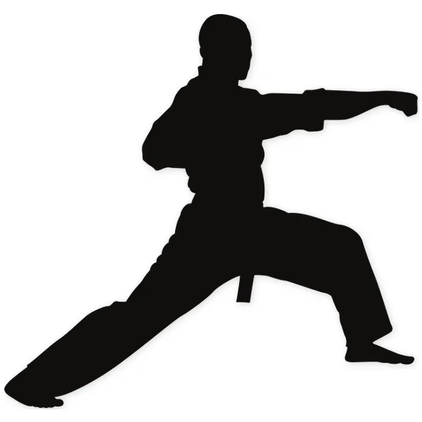 karate · martial arts · fight