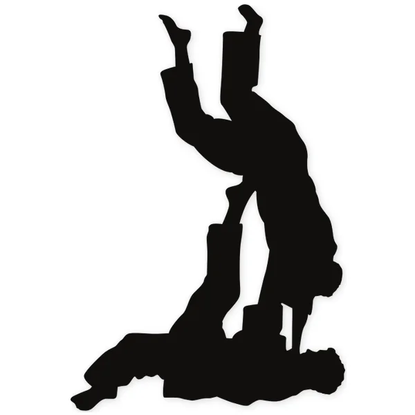 judo · karate · martial arts · fight