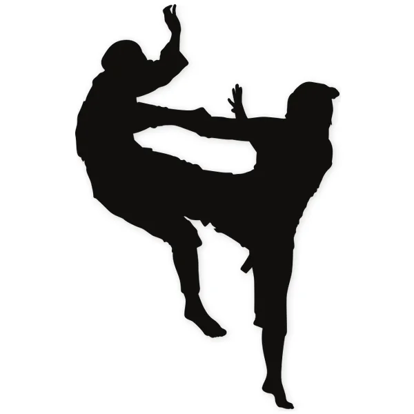 karate · martial arts · fight