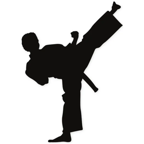 karate · martial arts · fight