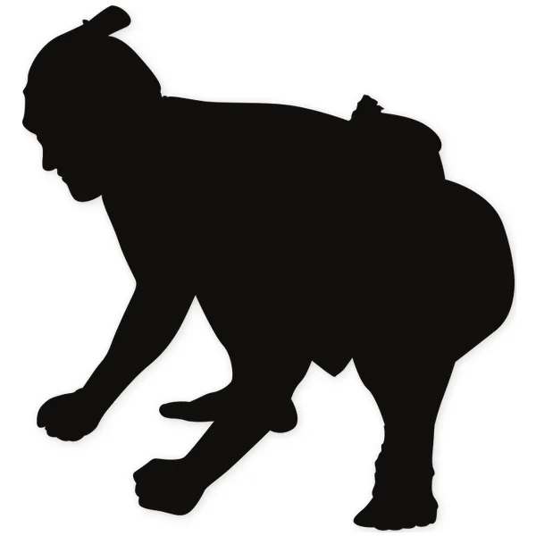 sumo · fight