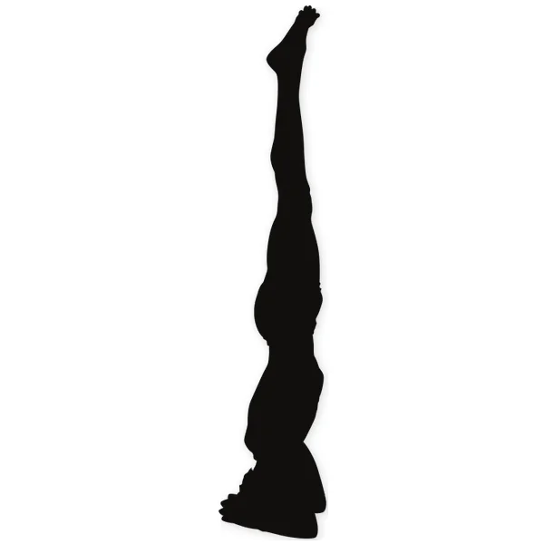 yoga · fitness