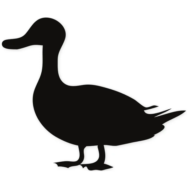 duck
