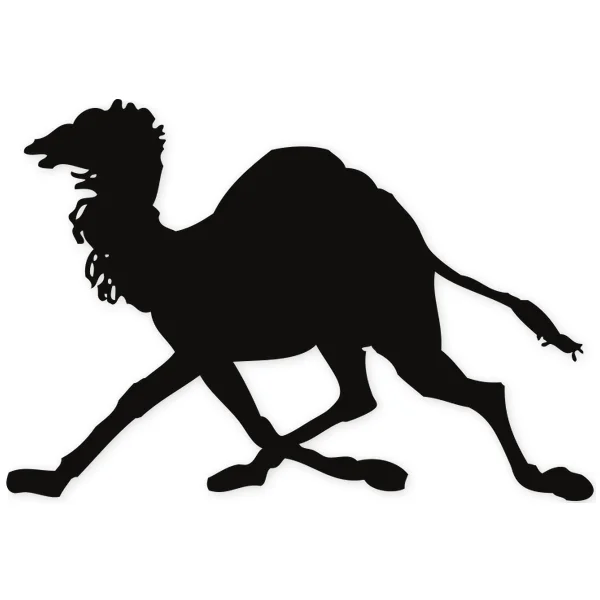 camel