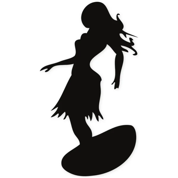 hawaii · surf