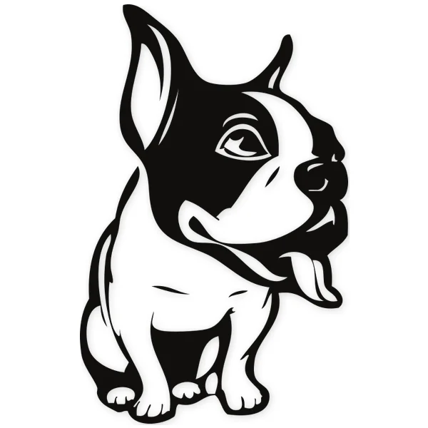 french bulldog · bulldog