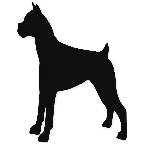 boxer