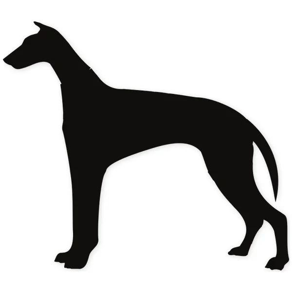 galgo