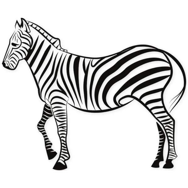 zebra