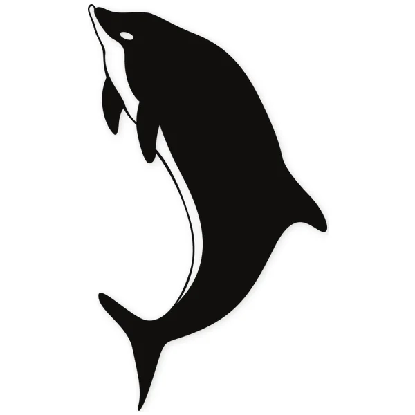 dolphin ยท fish ยท sea ยท jump