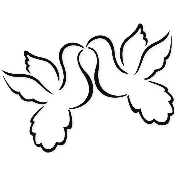 pigeons · kiss · love · bird