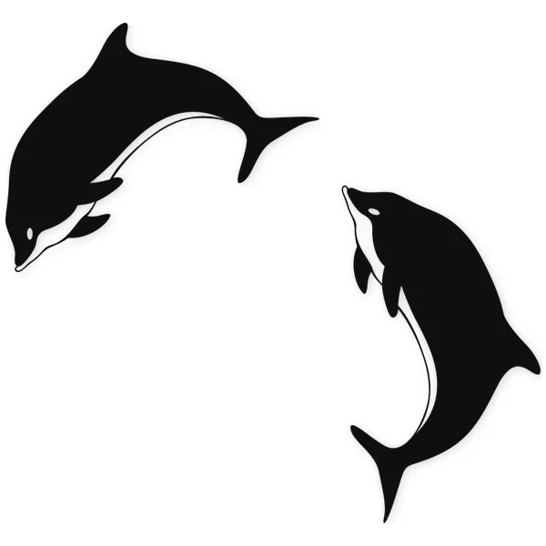 dolphin · fish · sea · jump