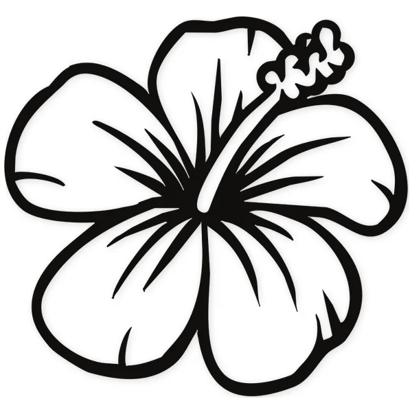 decoration · flower