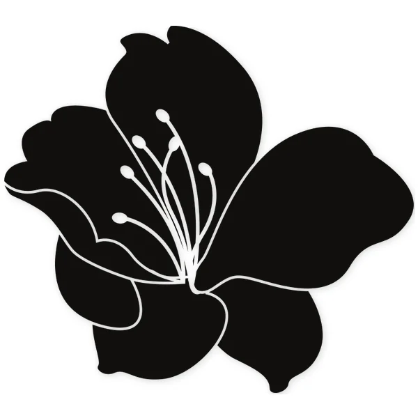decoration · flower