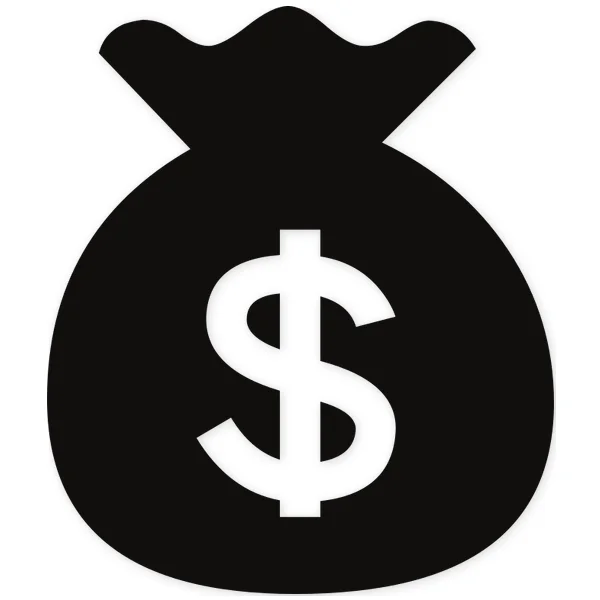 bag · money
