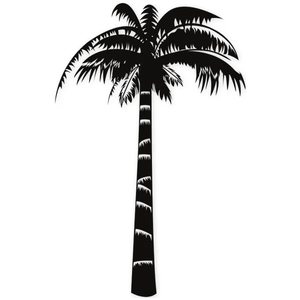 palm · summer · beach · tree