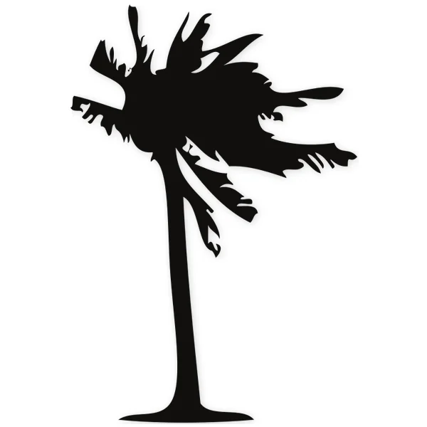palm ยท summer ยท beach ยท wind ยท tree