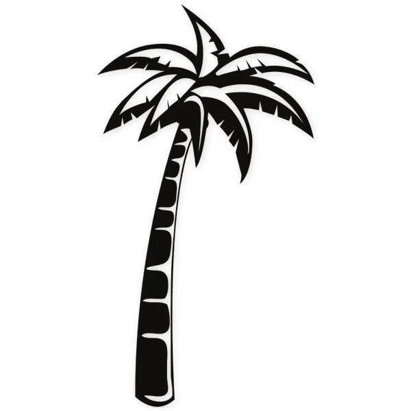 palm · summer · beach · tree
