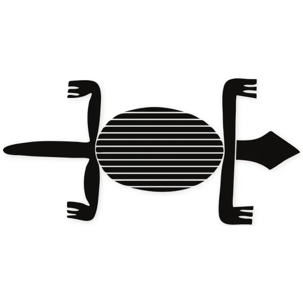 tortoise · tortoise · african · tribal
