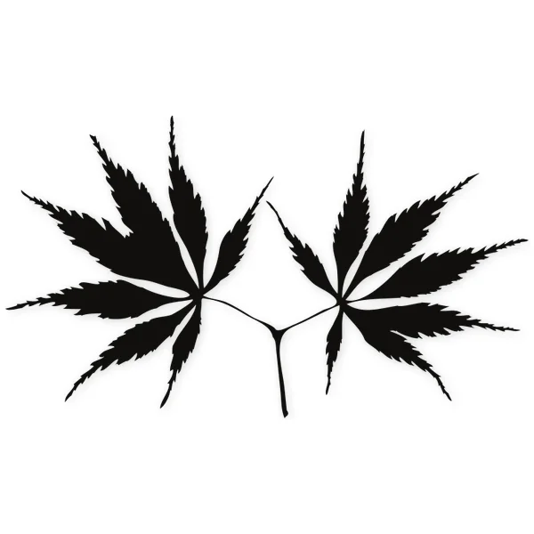 leave · tree · plant