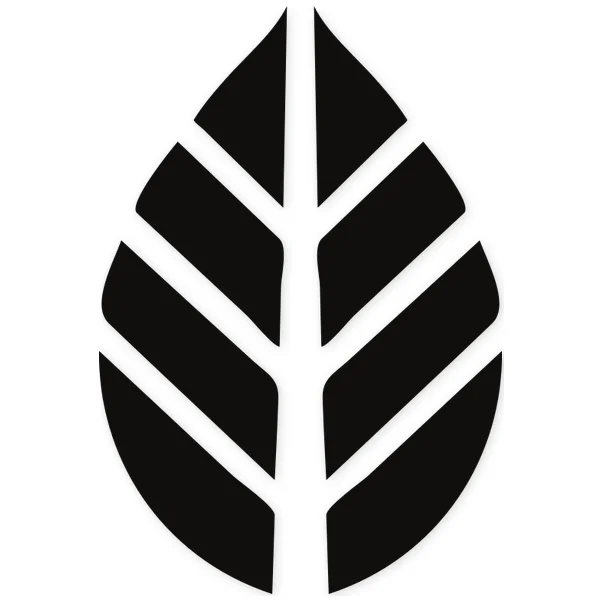 leave · tree · plant