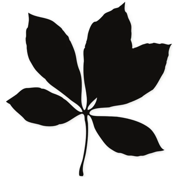 leave · tree · plant