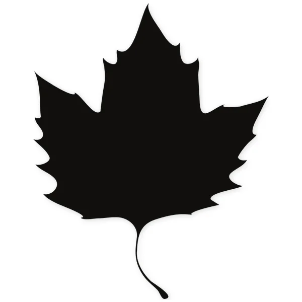 leave · tree · plant