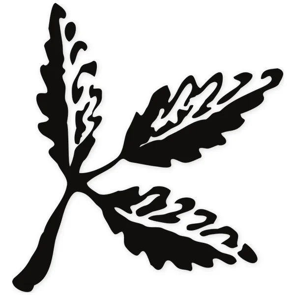 leave · tree · plant