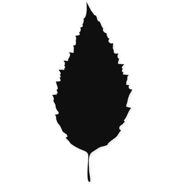 leave · tree · plant