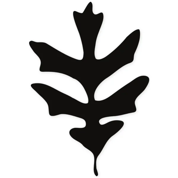 hoja · arbol · planta