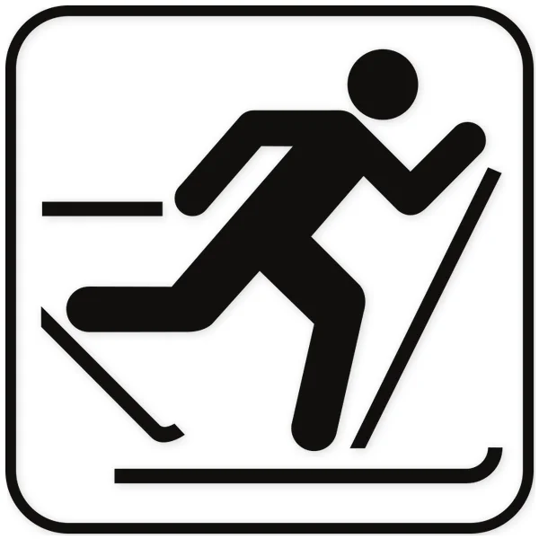 ski · winter · snow · icon