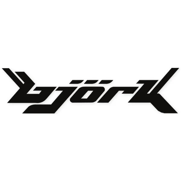 bjork · eclectic