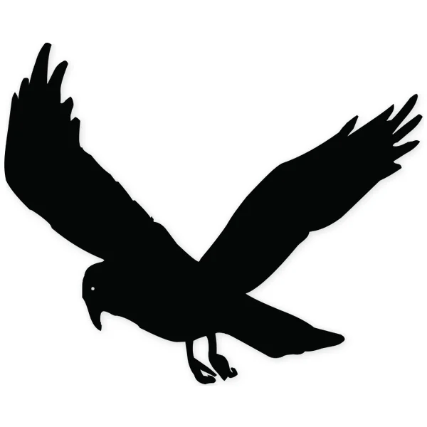 crow · bird · fly
