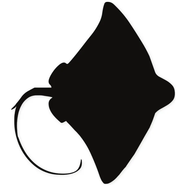 manta · marine · fish · sea