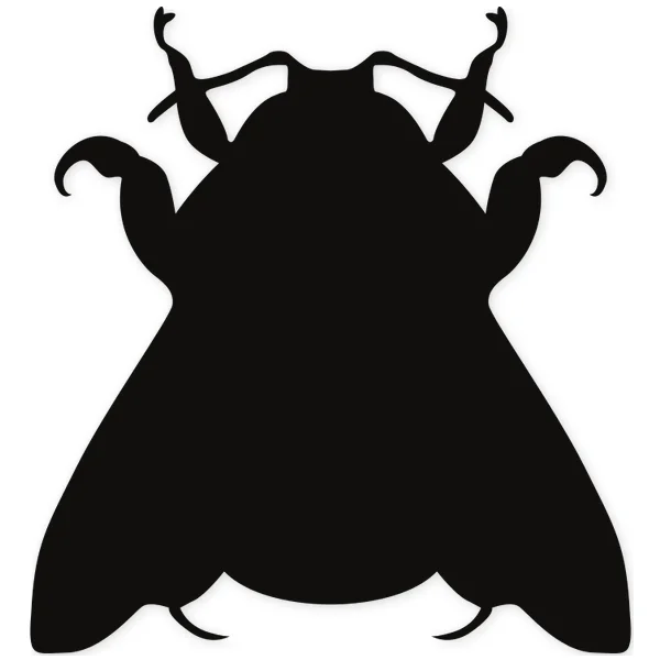 moth · insect