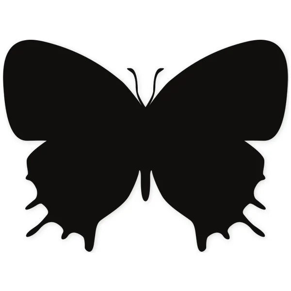 butterfly · insect