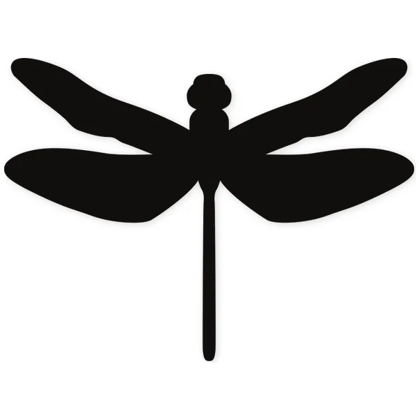 libelula · insect