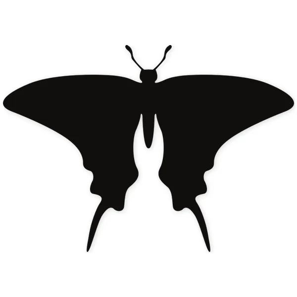 butterfly · insect