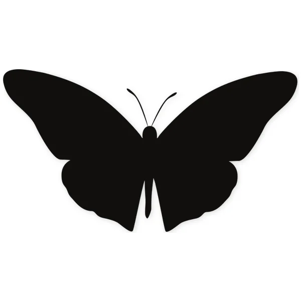butterfly · insect