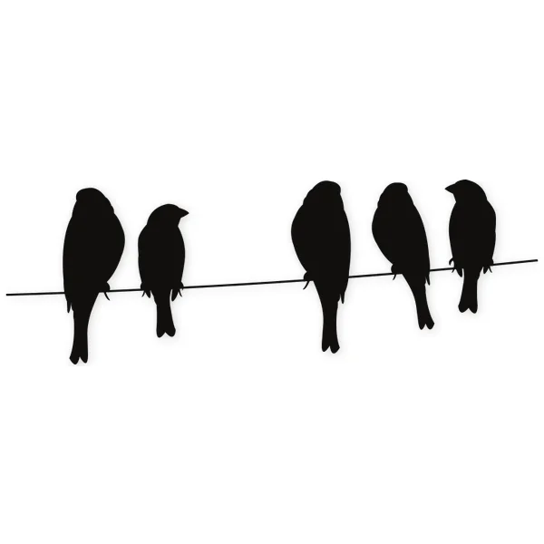 nature · bird