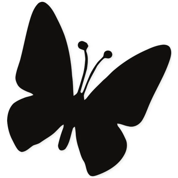 butterfly · insect