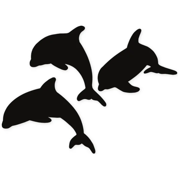 dolphin · sea · jump