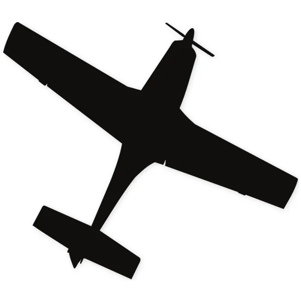 plane ยท fly
