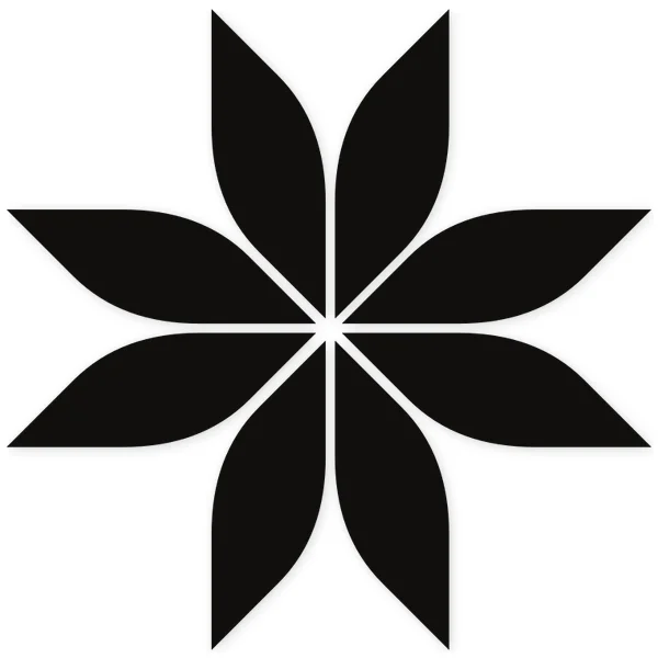 Abstract eight-pointed star shaped like a stylized flower, symmetrical geometric design in black.