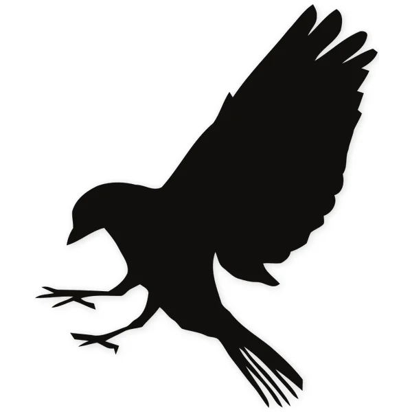 naturaleza · pajaro · volar