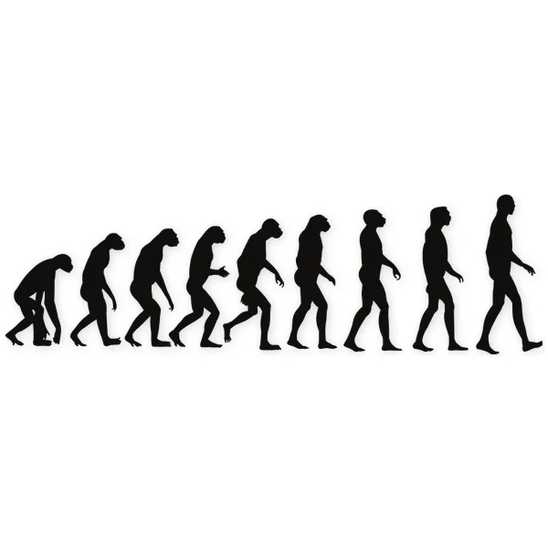 humano · evolucion