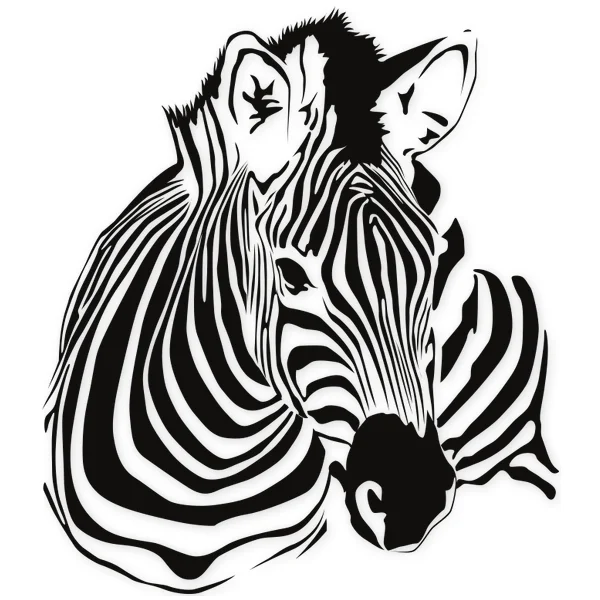 zebra · realistic