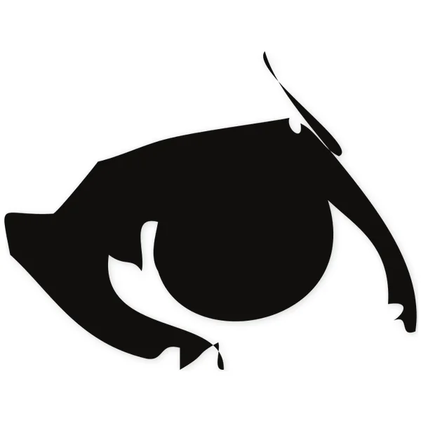 eyes